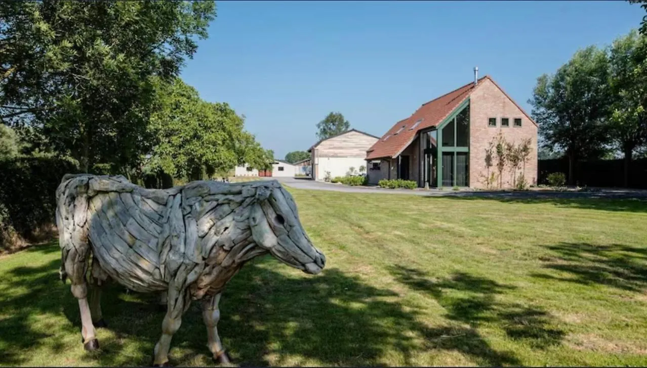 Vakantiewoning De Koeiendreef Brujas